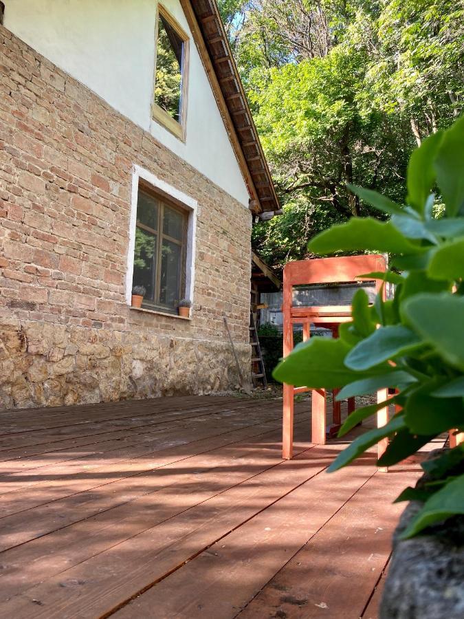 בודפשט Rustic Cottage & Garden Retreat On Buda Hilltop מראה חיצוני תמונה